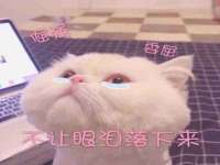 北京安辰德泰科技有限公司
