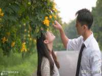 北京安辰德泰科技有限公司