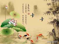 北京安辰德泰科技有限公司