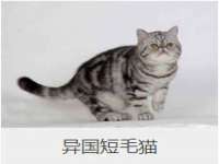 北京安辰德泰科技有限公司