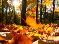 北京安辰德泰科技有限公司