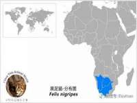 北京安辰德泰科技有限公司