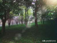 北京安辰德泰科技有限公司