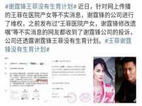 北京安辰德泰科技有限公司