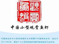 北京安辰德泰科技有限公司