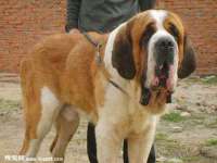 北京安辰德泰科技有限公司