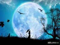 北京安辰德泰科技有限公司