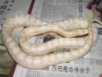 北京安辰德泰科技有限公司